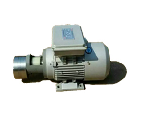 不銹鋼齒輪泵電機組